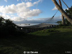 Time to say goobye to Fiji. by Liz Daves 